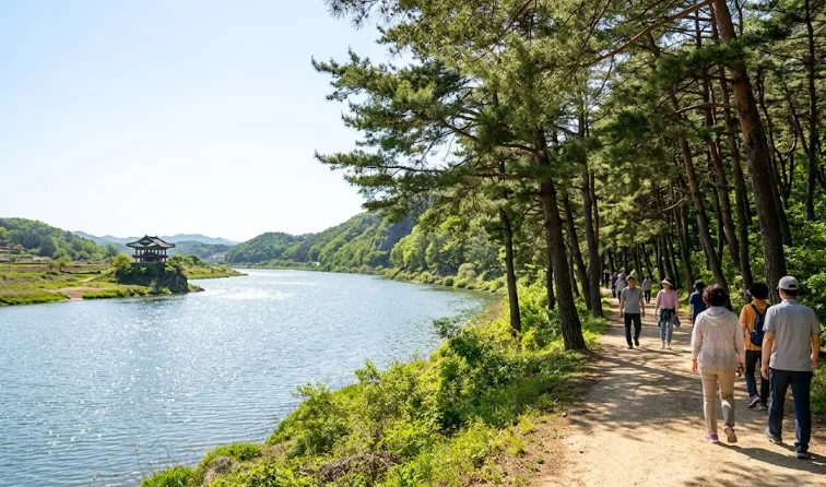 아이와 안동 자연 힐링 여행 코스 2026: 도산서원부터 안동호까지 3