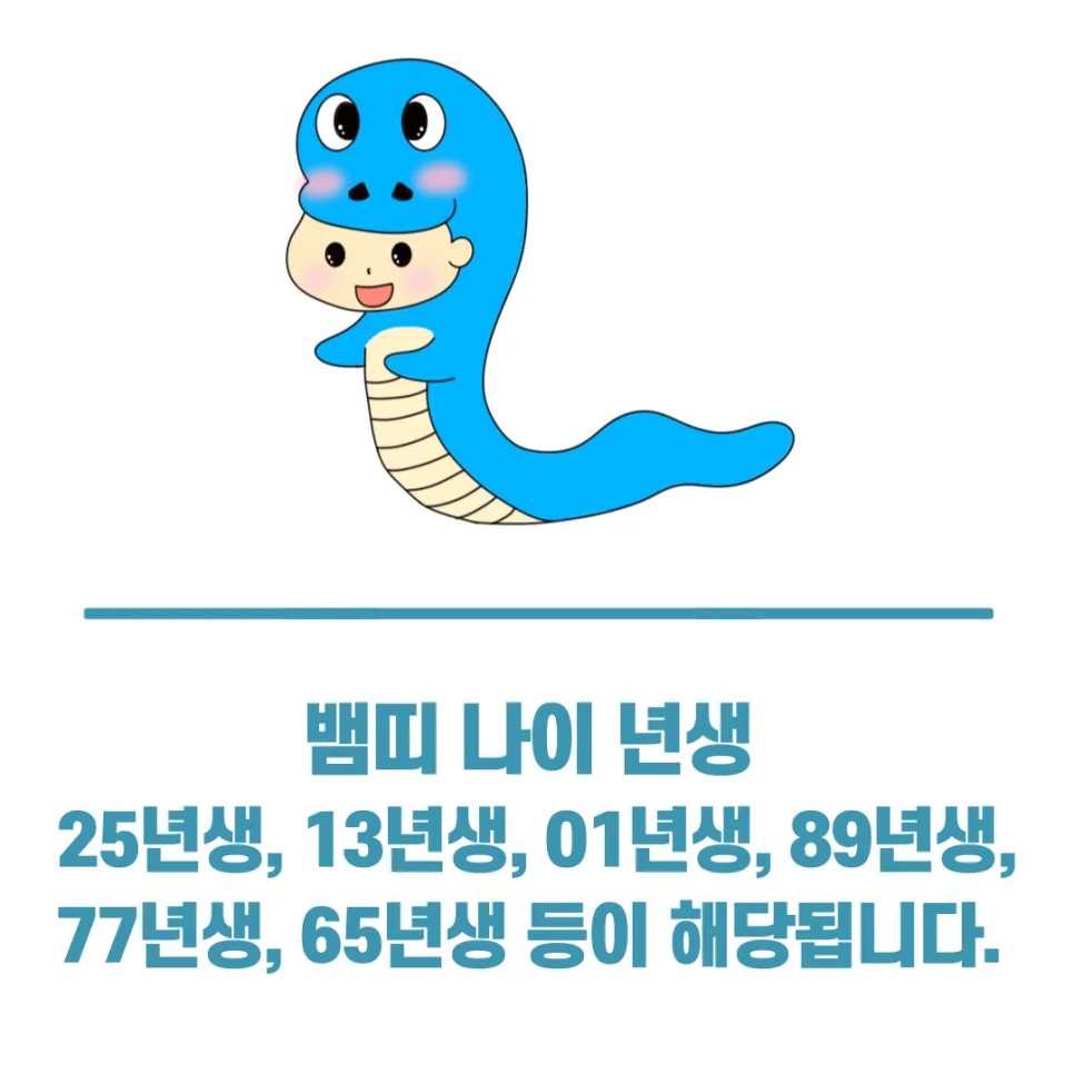 2025년 뱀띠 운세: 본띠해 맞이 궁합 & 나이별 총정리 (2026년 전망) 2