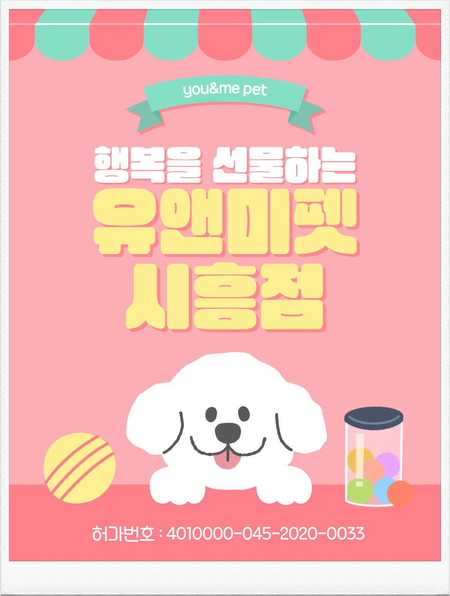2026년 용인 포메라니안 분양, 유앤미펫 경험자 후기 총정리