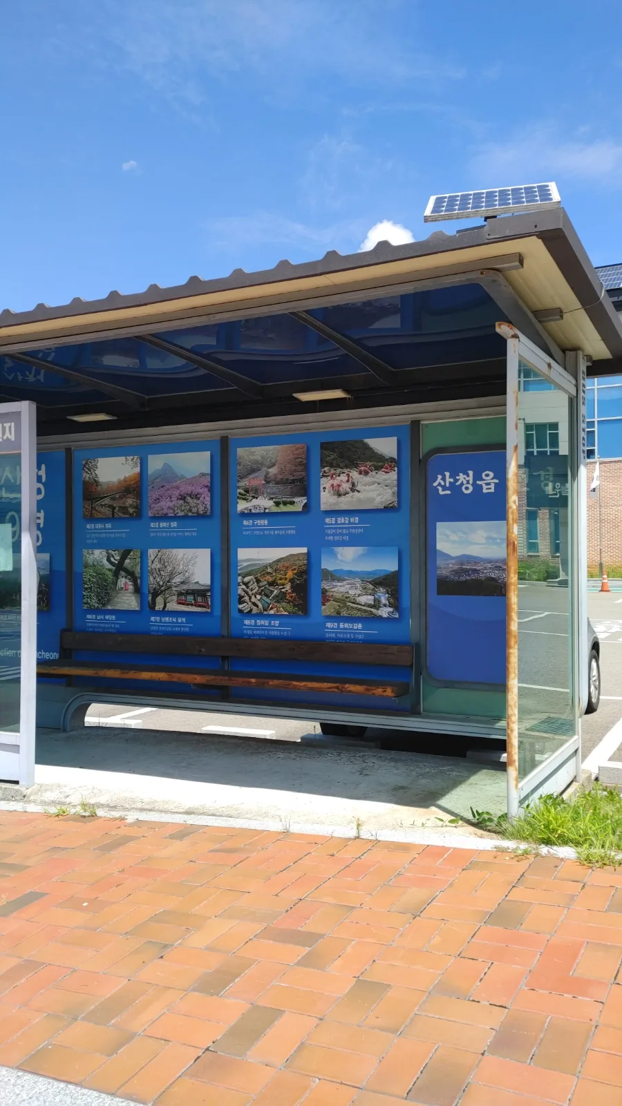 산청 동의보감촌 2026: 엑스포 주제관 & 한의학 박물관 완벽 탐방 3