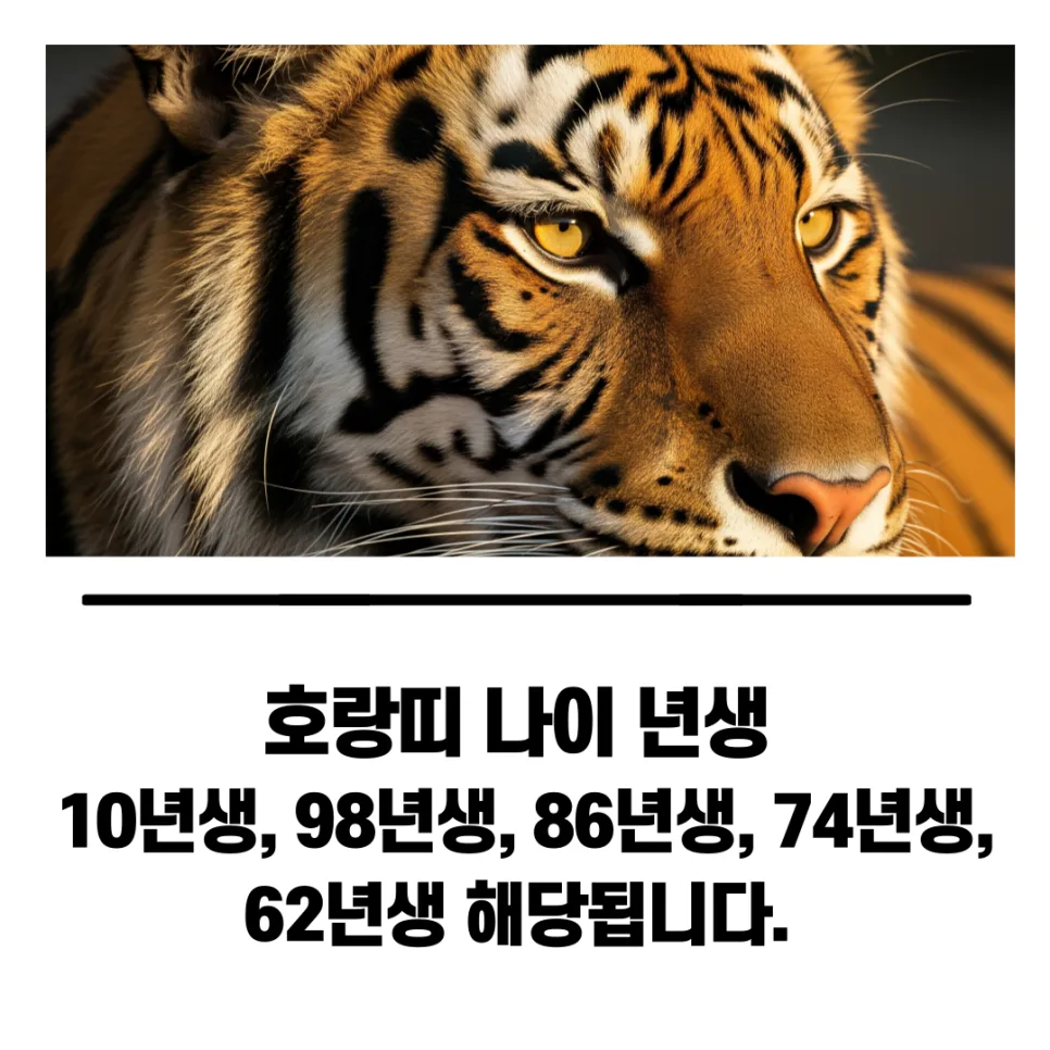 2025년 호랑이띠 운세 총정리: 삼재, 나이, 궁합 완벽 분석 (2026) 2