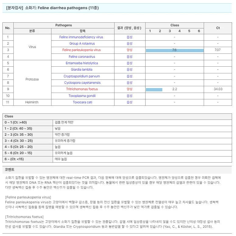 고양이 범백 증상과 치료, 키트 음성이라도 안심은 금물 2026 2