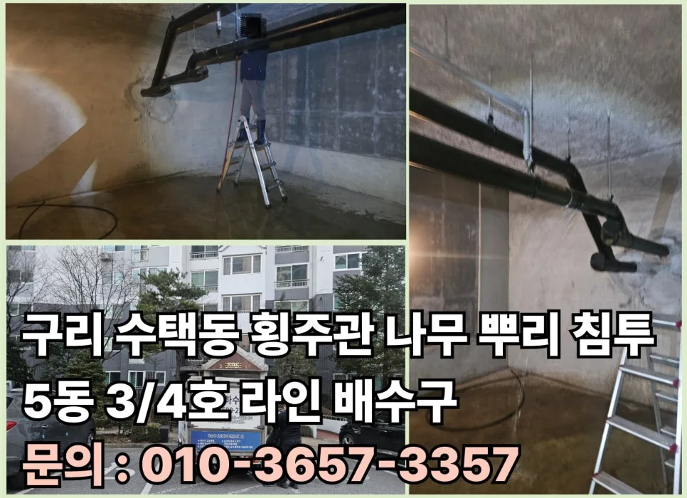 구리 수택동 아파트 횡주관 막힘, 나무 뿌리 침투 해결법 2026 — 사회·시사 — dkflrkd1 1