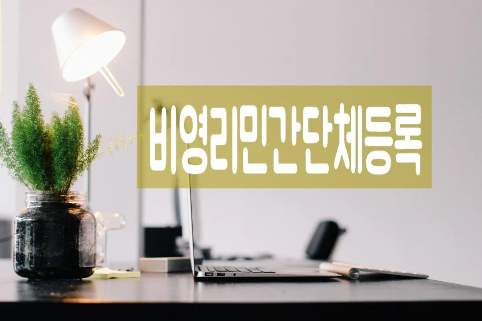 비영리민간단체 등록 요건 및 절차 2026년 최신 총정리 — 사회·시사 — 0413kgs