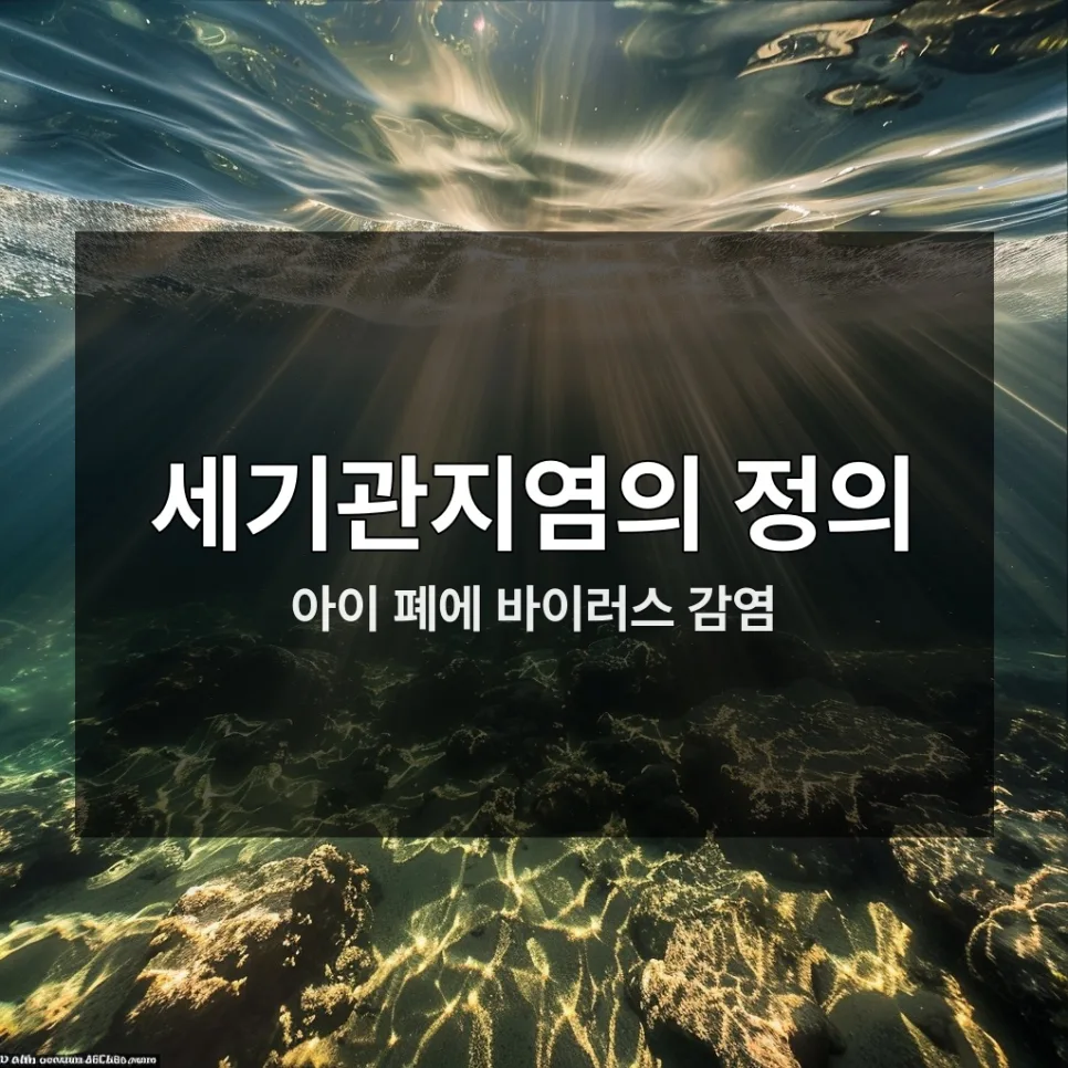 2026년 세기관지염 실비 청구 완벽 가이드: 놓치면 후회할 3가지