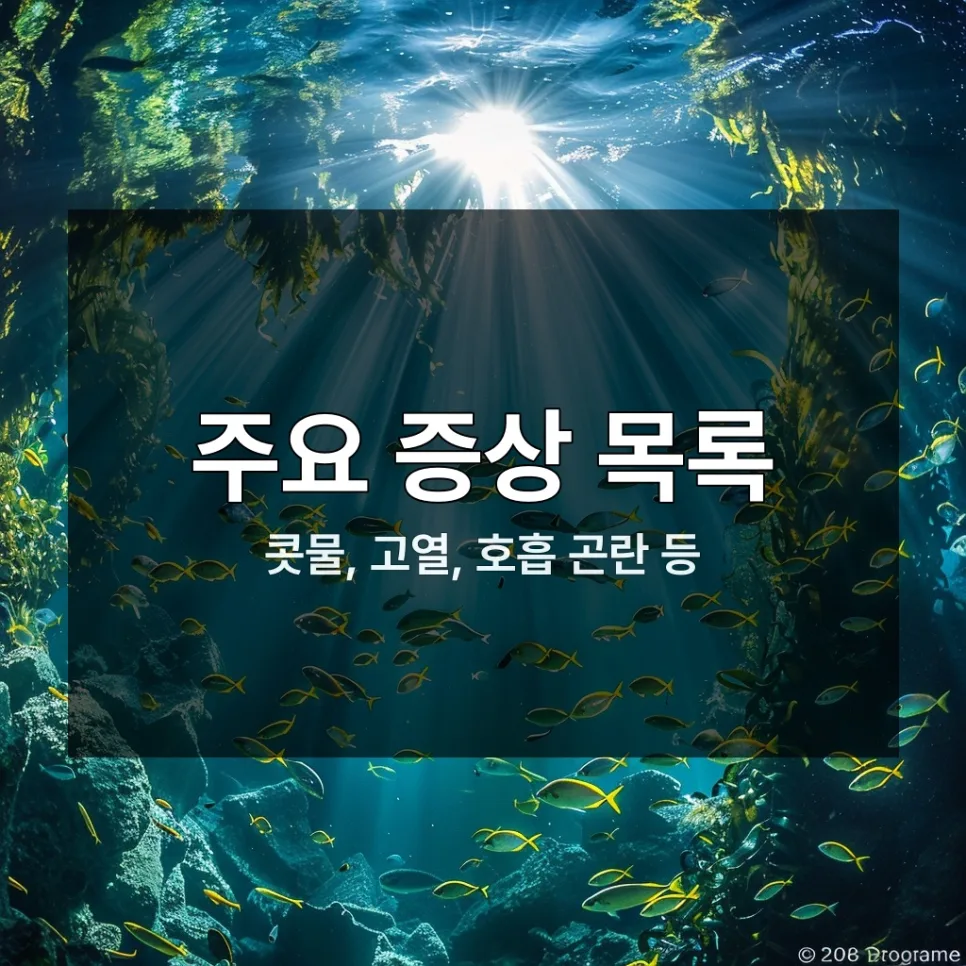 2026년 세기관지염 실비 청구 완벽 가이드: 놓치면 후회할 3가지 2