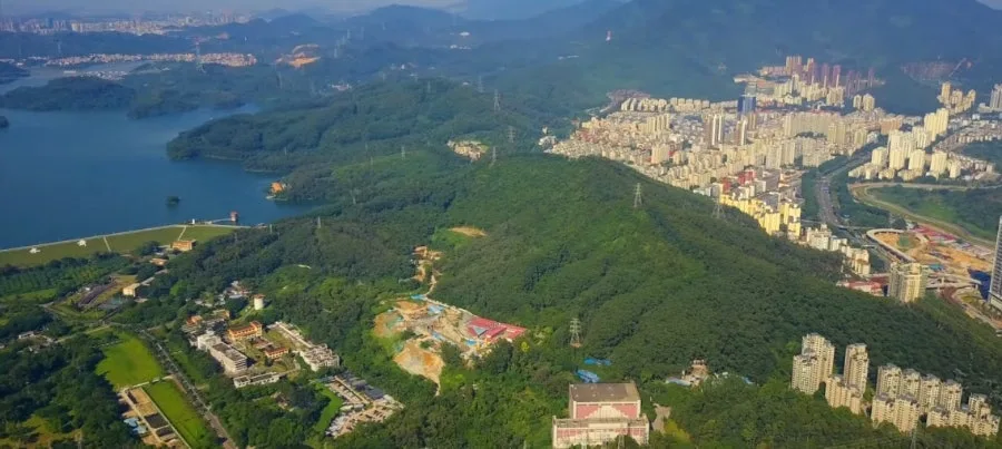 한비자 사상과 법치주의: 비극적 삶 속 철학 탐구 2026 2