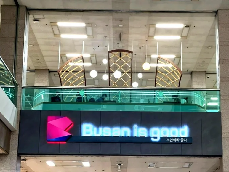 2025 부산 미디어멤버스 합격 후기: 활동 내용과 꿀팁 2026 2