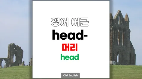 영어 어근 'head'의 모든 것: 어원부터 파생어까지 2026년 완벽 정리 — 어학·외국어 — softca