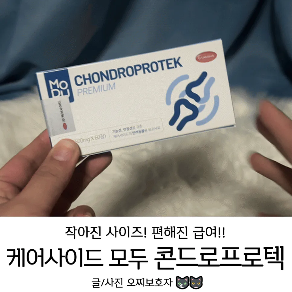 강아지 관절 영양제 2026: 케어사이드 모두 콘드로프로텍 비교 분석 — 반려동물 — ozzizzizzi