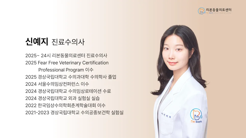 고양이 헐떡거림, 횡격막 탈장 의심 시점과 수술 방법 2026 3