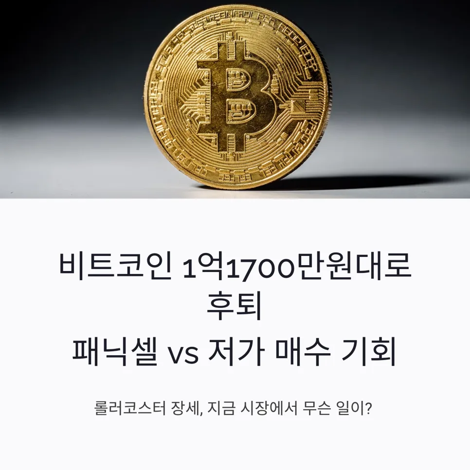 비트코인 1억 1700만원대 하락, 기관 자금 유입될까? 2026 전망 — 비즈니스·경제 — juitjjj 1