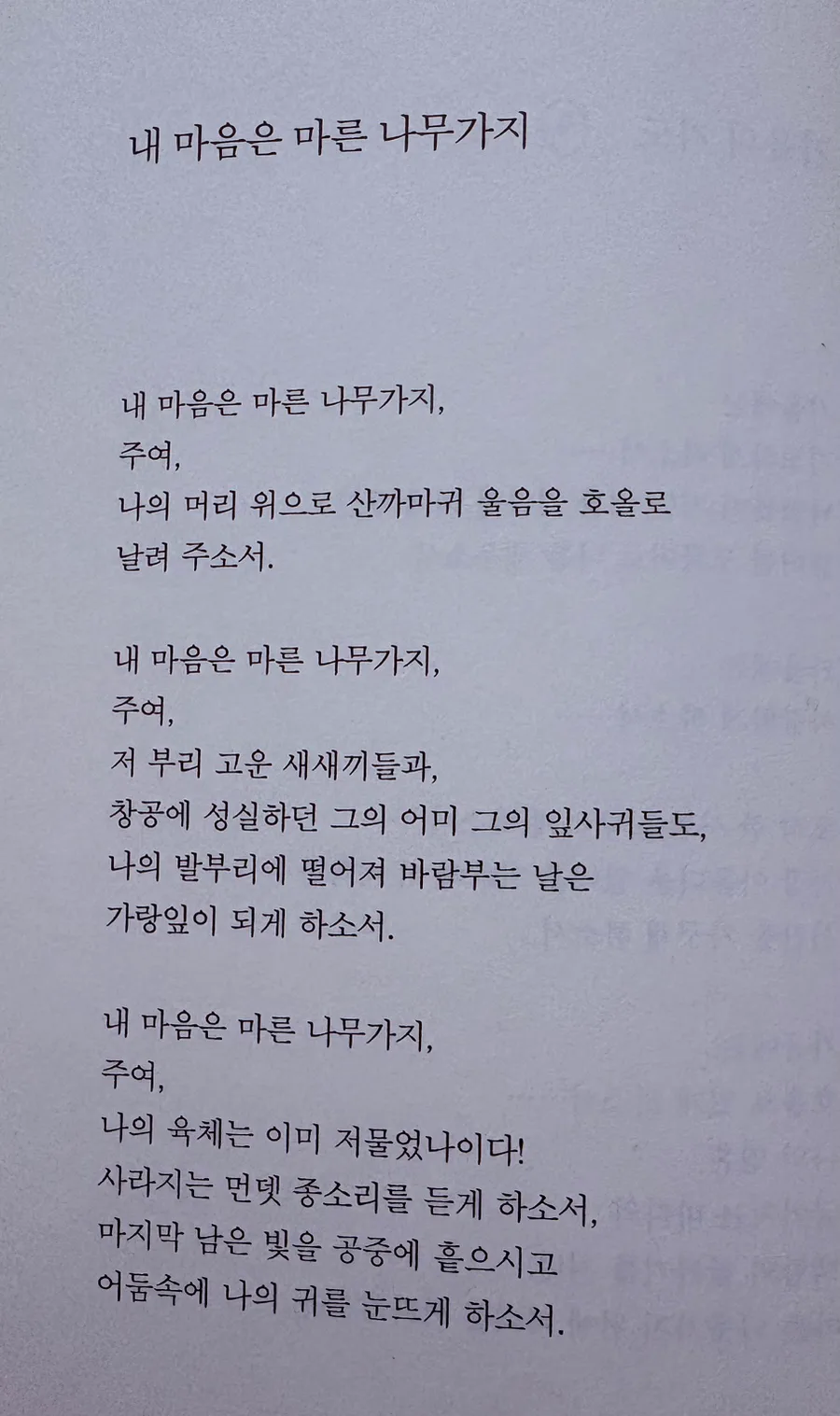 김현승 시 '내 마음은 마른 나무가지' 해석과 2026년 영적 성찰 3