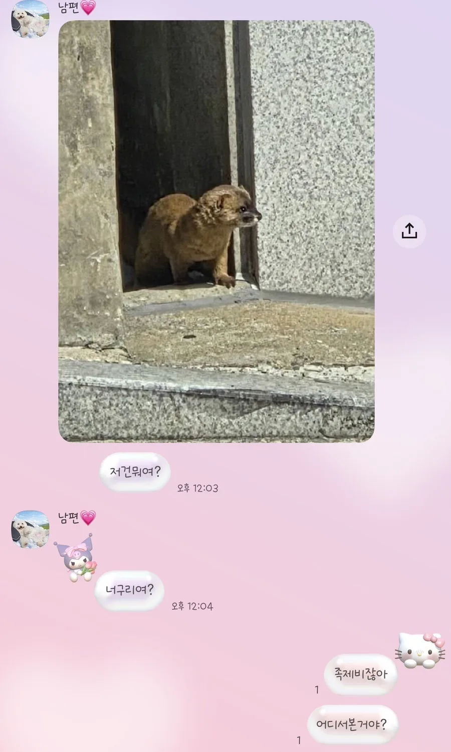 일상 속 소소한 행복 찾기: 2026년 반려견 산책부터 맛집 탐방까지 3
