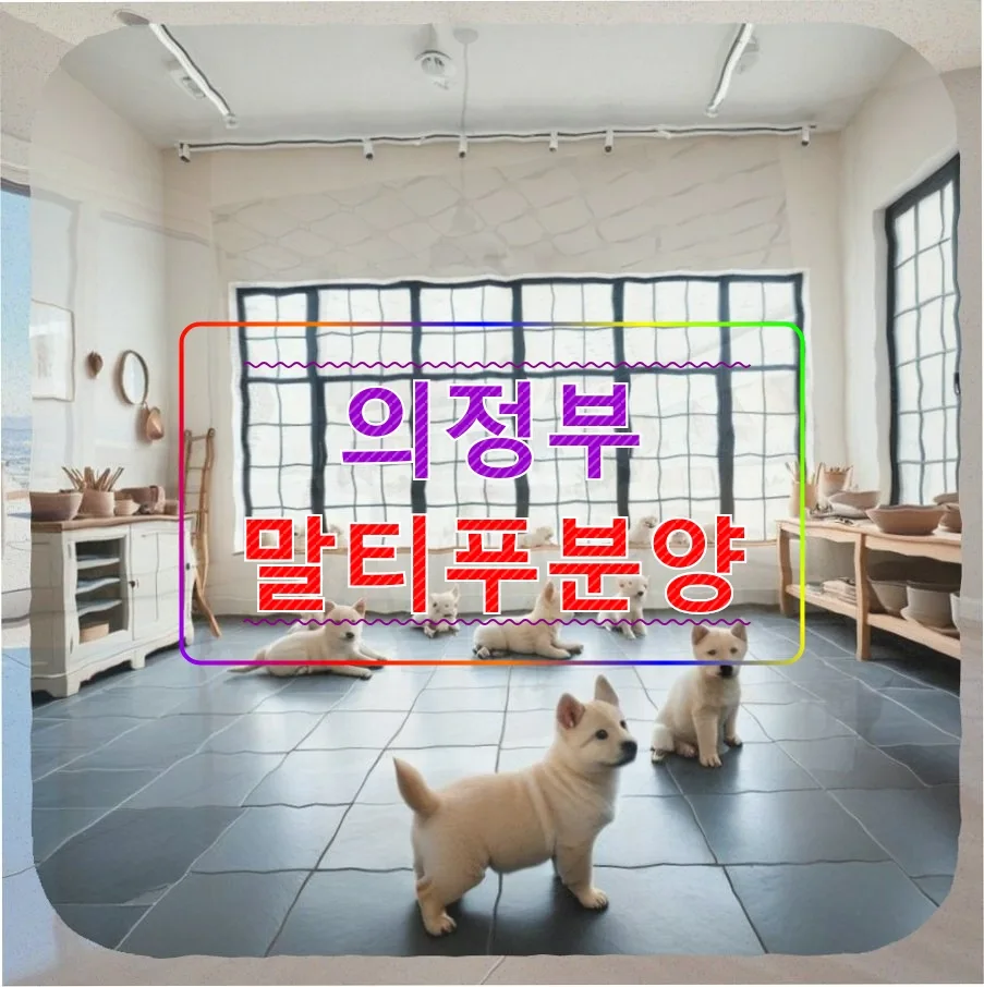 의정부 말티푸 분양, 새 식구 맞이 전 현실 점검 2026
