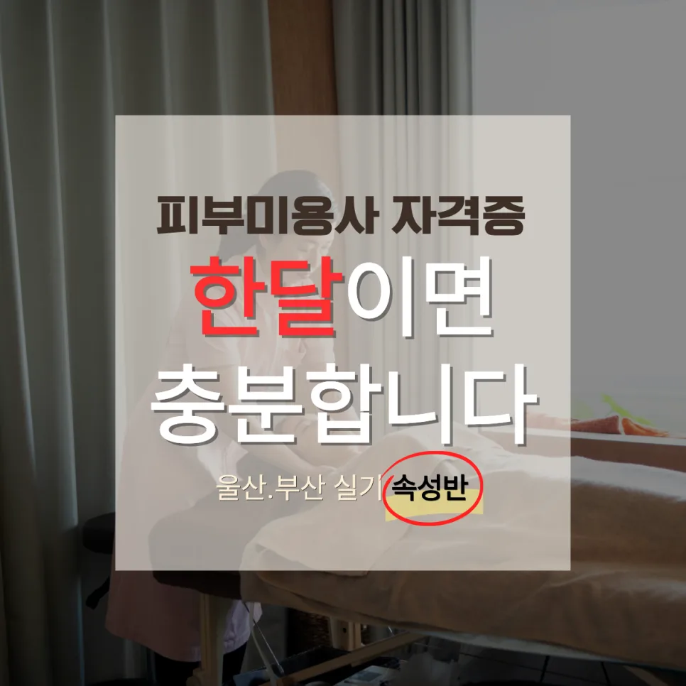 피부미용사 자격증 1개월 합격 비결 2026년 총정리 — 교육·학문 — aesthetic___