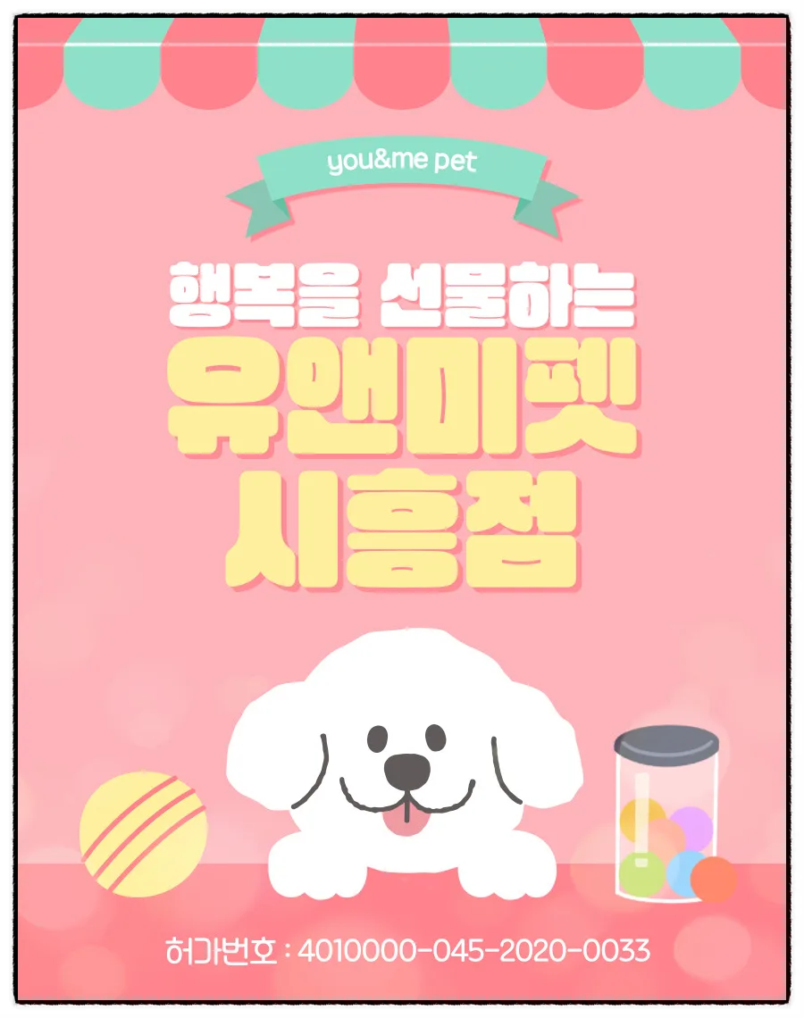 분당 비숑프리제 분양 2026: 건강한 아이 찾는 3가지 핵심 기준