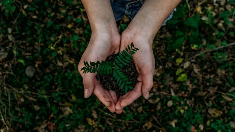 친환경 소비와 지속 가능한 생활 관련 이미지 - 출처: Unsplash