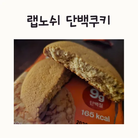 랩노쉬 단백쿠키 2026년 맛 비교: 피넛버터 vs 초코, 뭐가 더 나을까? — K-푸드·맛집 — frostnara