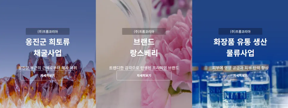 프롬코리아 해저광산 투자, 2026년 MOU 체결 가능성과 희토류 사업 전망 2