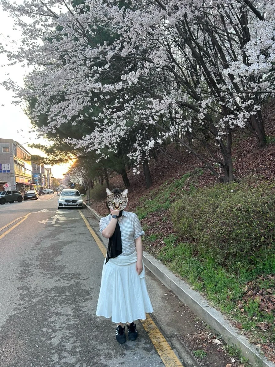 2026년 옷 쇼핑 트렌드: 인기 브랜드별 신상 및 구매 가이드 — K-뷰티·패션 — rubyehdus