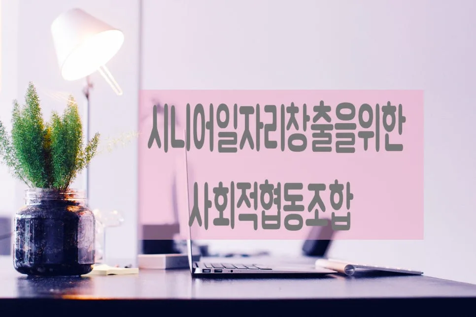 2026년 노인일자리 창출 카페 사회적협동조합 설립 절차 완벽 가이드 3