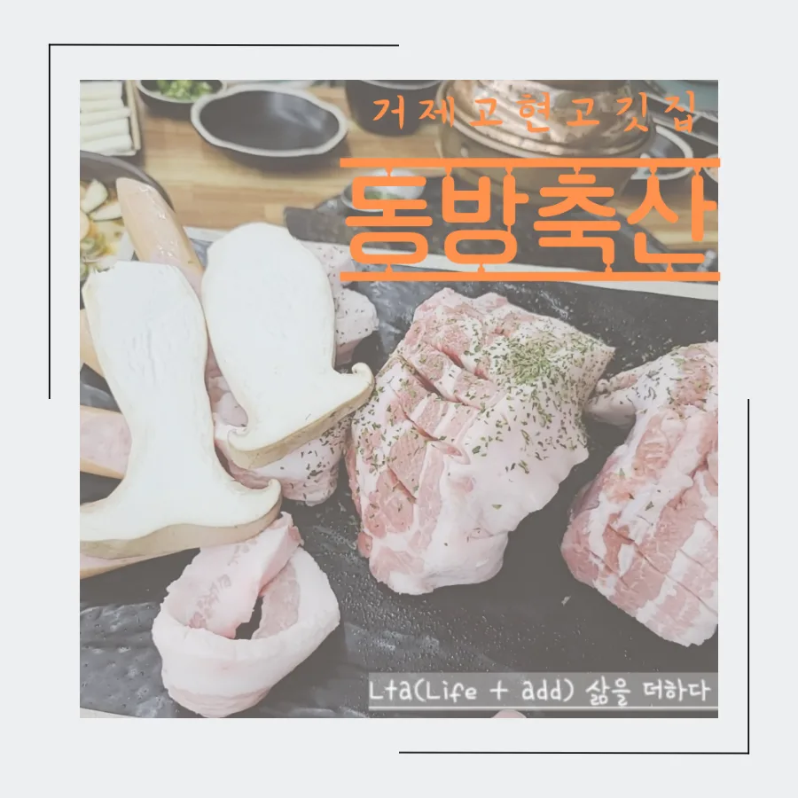 거제 고깃집 주차 꿀팁 & 동방축산 가성비 끝판왕 2026 — K-푸드·맛집 — bluezzangi