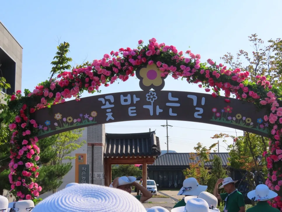 철원 고석정 꽃밭 축제 2025: 입장료, 기간, 즐길거리 총정리 — 한국여행 — snoopy2929