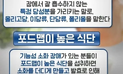예민한 장 유산균 2026: 영롱 이스트 바이오틱스 센서티브 가루 vs 캡슐 비교 — 건강·의학 — naomi71