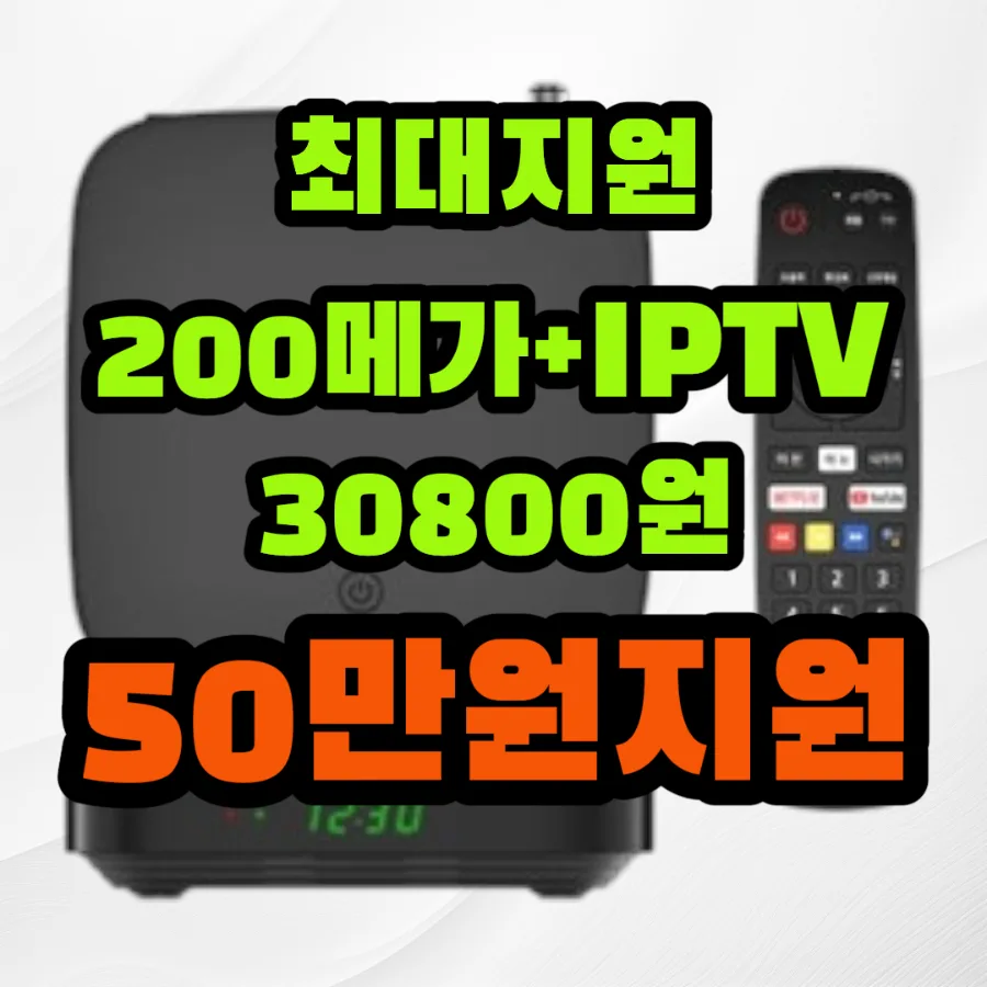 옥천 스카이라이프 2026: 자연 속 힐링 라이프 즐기는 법 3