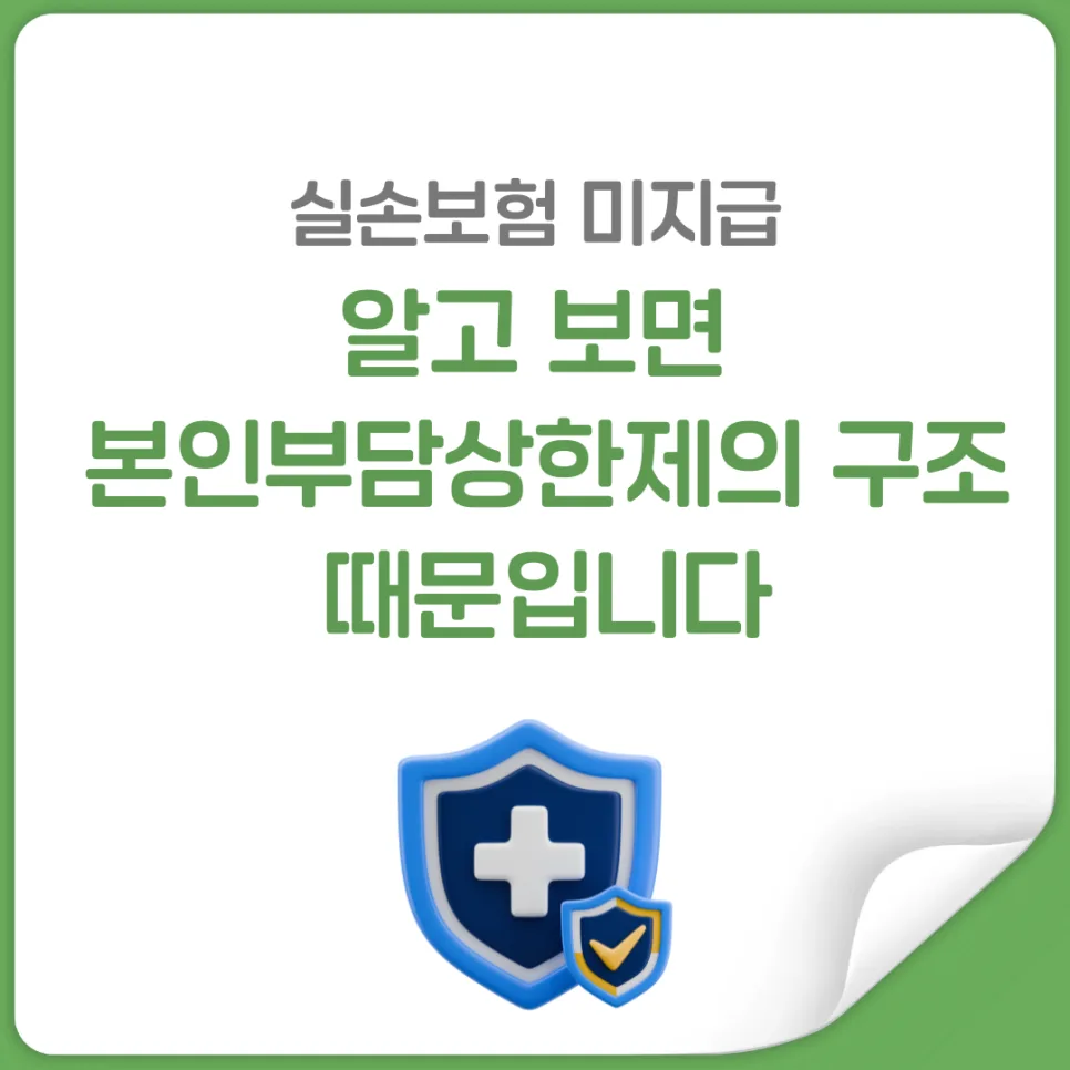 실손보험 본인부담상한제 미지급 이유 2026년 총정리