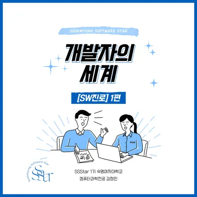 2026년 개발자 직업 탐구: 종류, 역할, 필요한 역량 완벽 분석 — IT·테크 — sookmyungsstar