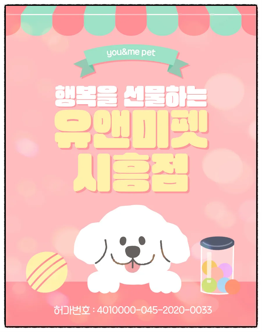 남양주 비숑 분양 2026: 유앤미펫 방문 후기 및 건강한 반려견 선택 가이드