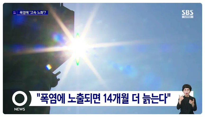 폭염, 흡연보다 위험한 노화 주범? 2026년 건강 관리법 — 건강·의학 — honeyissue