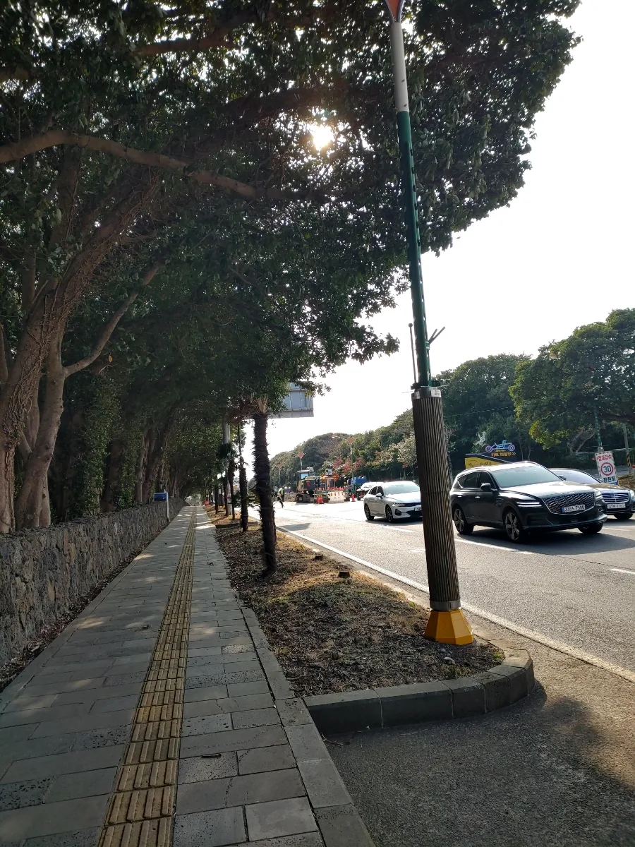 천제연 폭포 2026: 칠선녀 전설과 4.3의 눈물, 방문 전 필수 정보 3