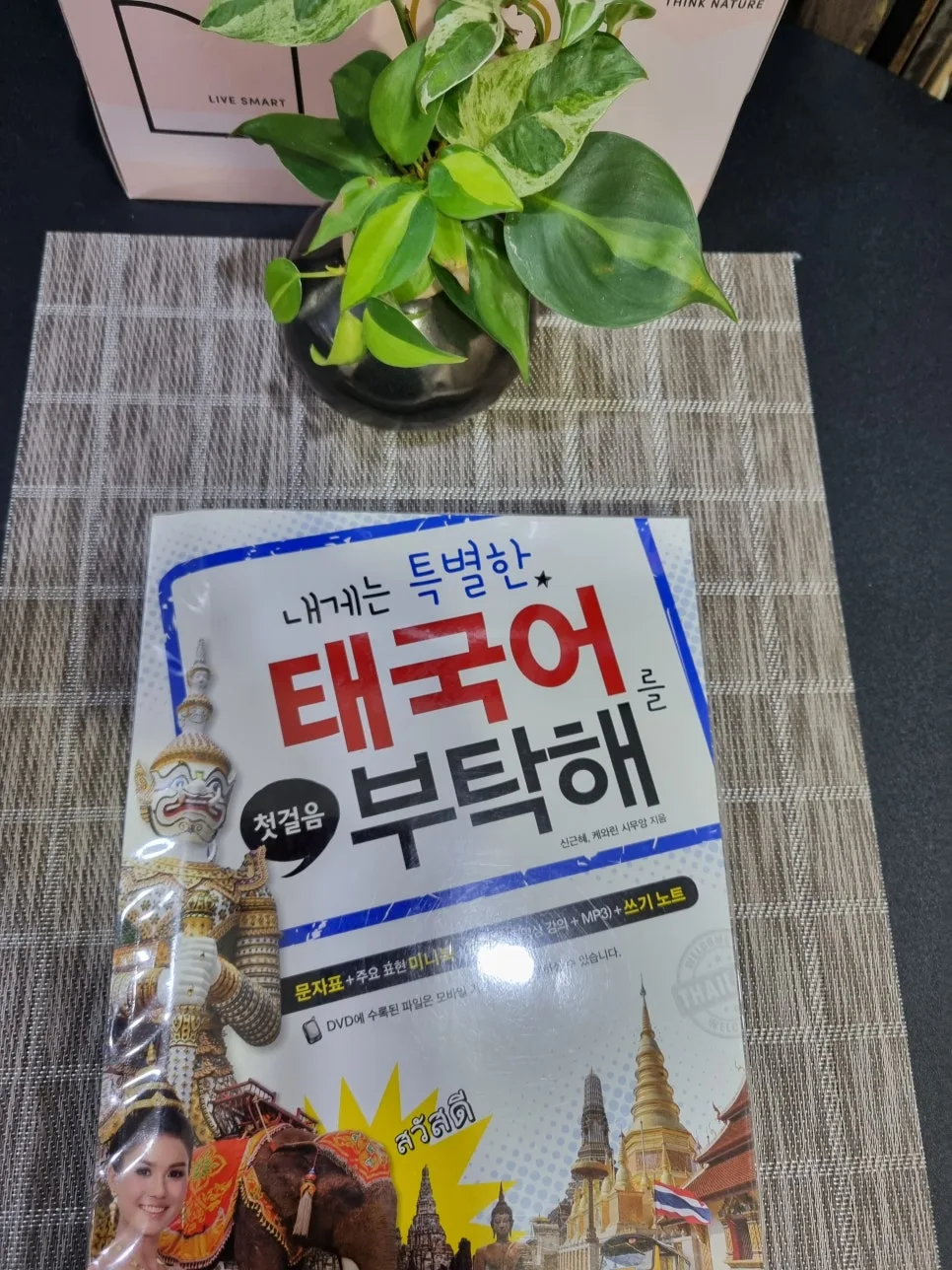 태국어 유학 준비 2026: 대전 아벨 1:1 맞춤 강의 장점 3