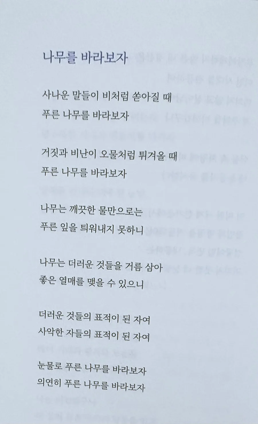 박노해 시 '나무를 바라보자' 해석: 시련 속 희망 찾기 2026 2