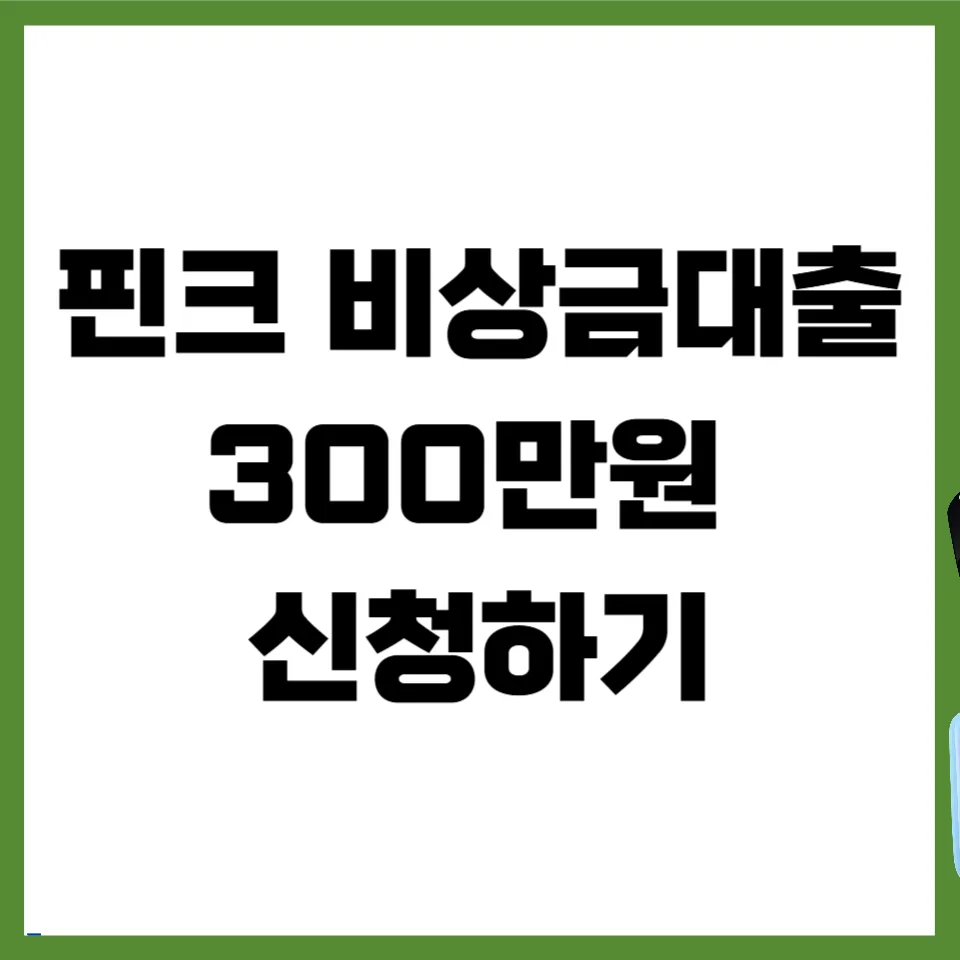 핀크 비상금대출 300만원 승인 조건 및 거절 시 대안 2026 — 비즈니스·경제 — mjhong02
