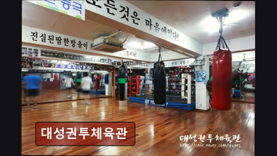 홍대 복싱 2026: 대성권투 체계적 지도와 열정 후기 — 스포츠 — yacle70