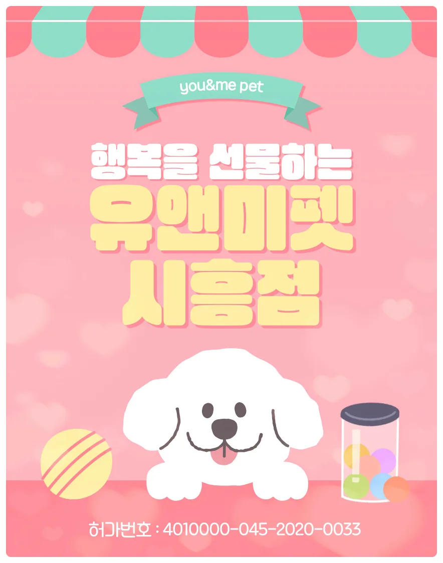 포메라니안 분양 2026: 유앤미펫 경험자가 전하는 건강한 입양 가이드
