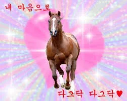 40평대 아파트 인테리어, 실내건축면허 업체 선택 가이드 2026 2