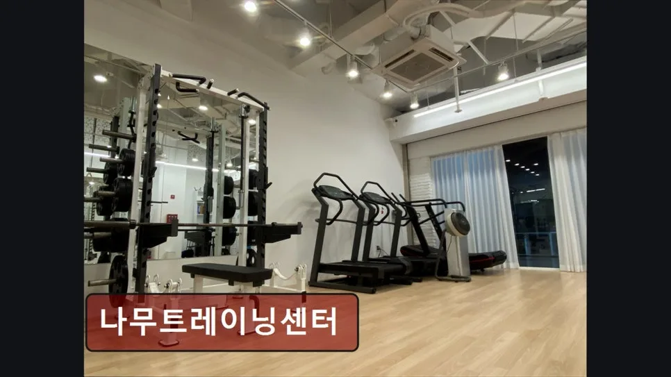 홍대 헬스장 나무트레이닝센터, 맞춤 운동과 자세 케어 2026년 총정리 3