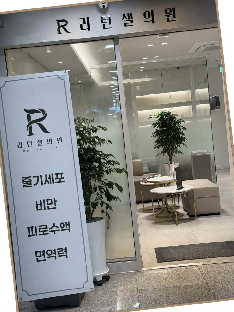 다이어트 병원 2026년 선택 가이드: 3개월 효과 극대화 기준은? 2