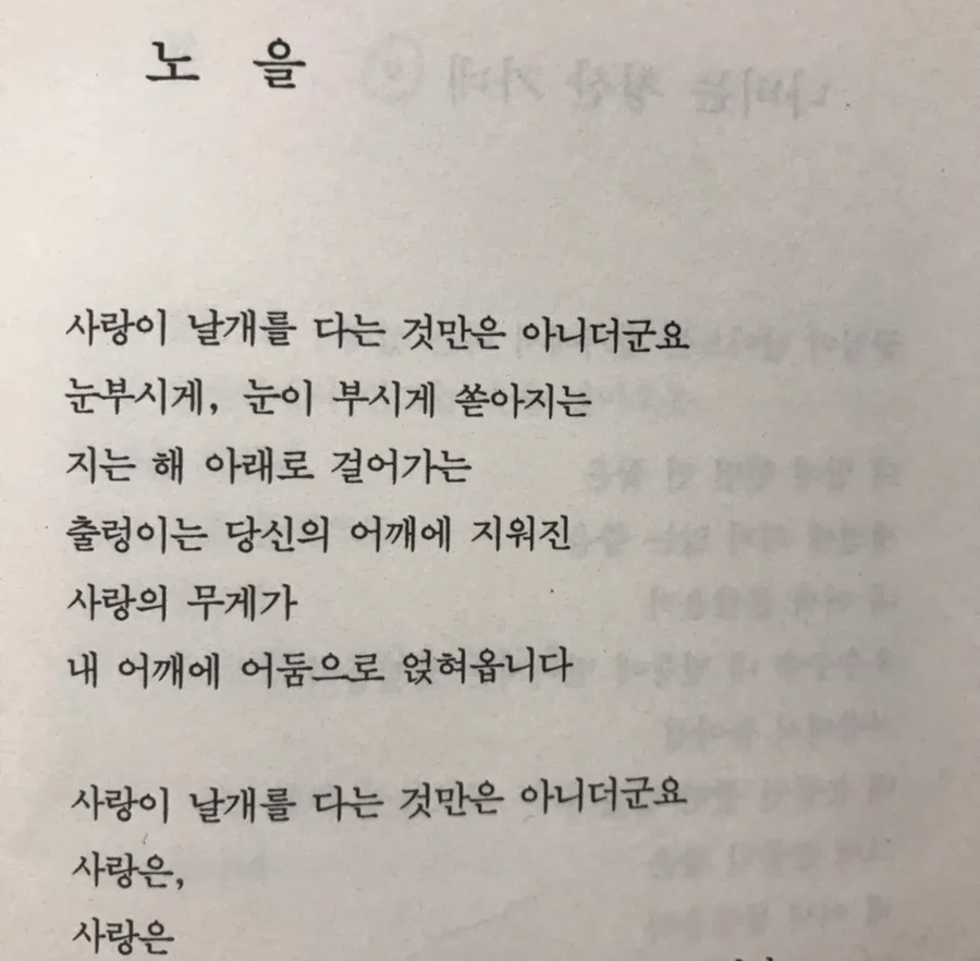 김용택 시 '노을'과 '나비는 청산 가네' 분석 2026 3