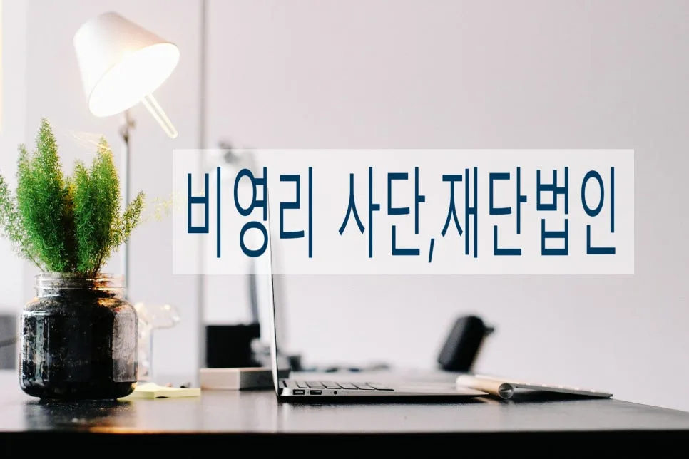 사단법인 설립 요건 및 절차 완벽 정리 (2026년 최신)