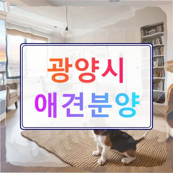 광양시 애견 분양 사기 피하는 법과 반려견 입양 후기 2026