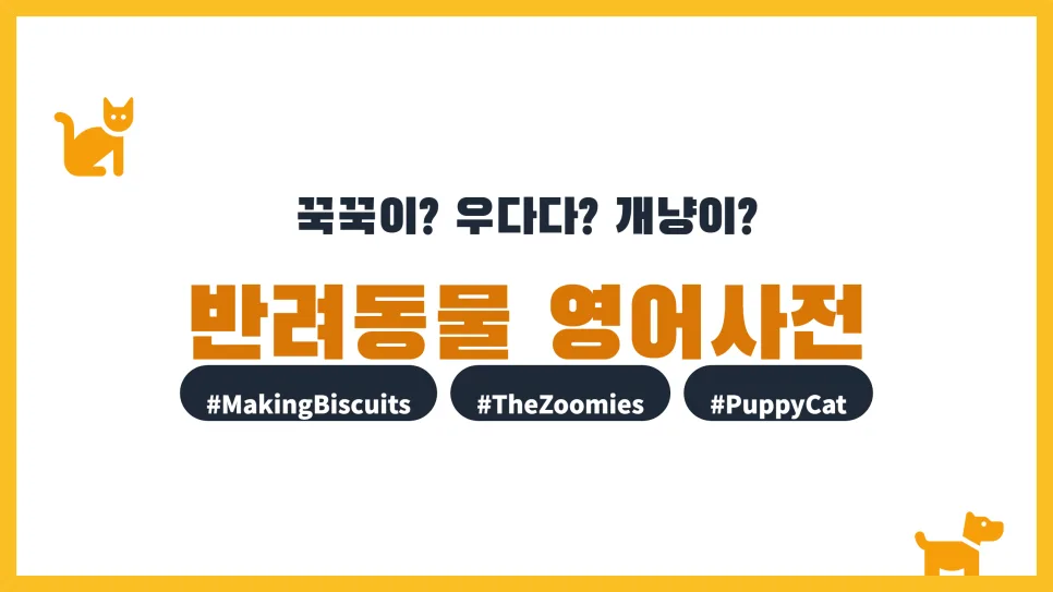 개팔자가 상팔자 영어로? K-반려동물 용어와 영미권 표현 비교 2026 3