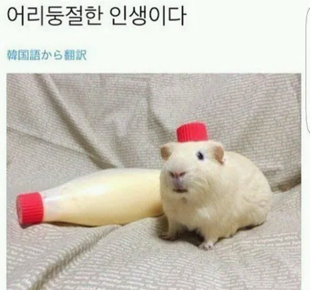 마케팅 부트캠프 75일차: 실무 데이터 분석 & 퀴즈 복습 2026 2