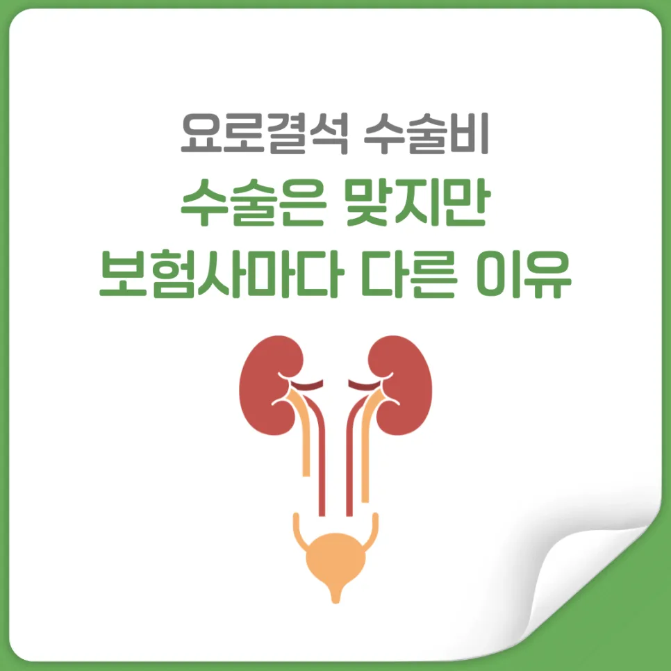 체외충격파쇄석술 보험금 청구, 약관 따라 달라지는 이유 2026