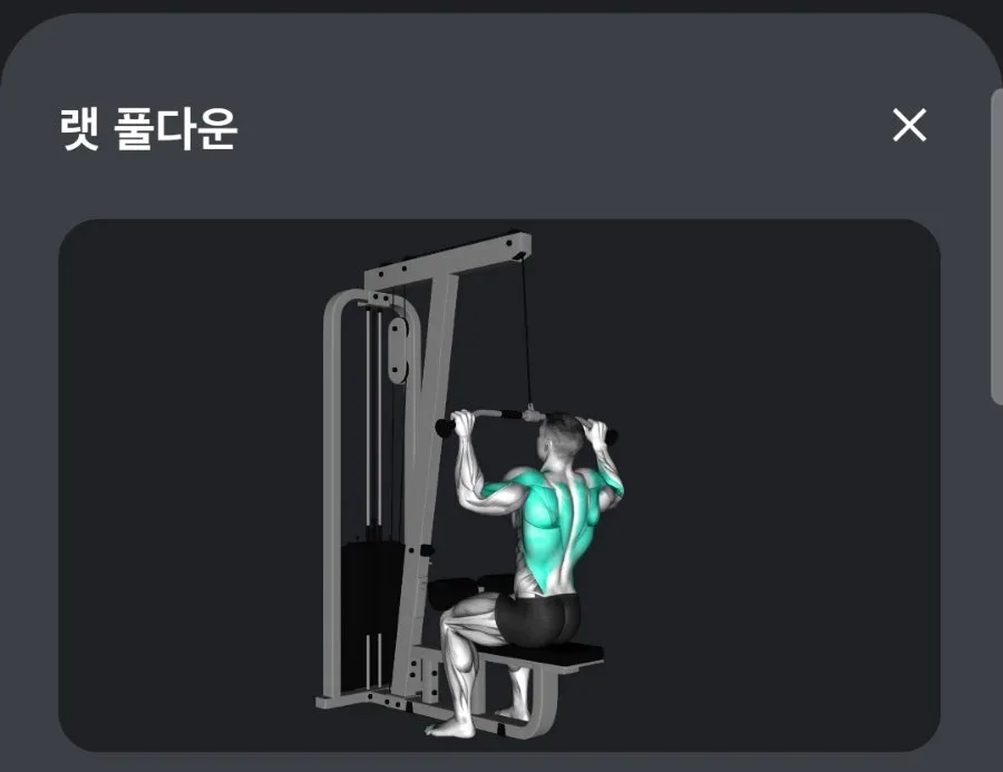 바디프로필 준비 2026: D-114 운동 루틴과 식단 점검 3